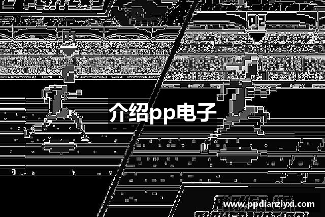 介绍pp电子